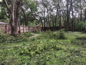 Backyard branch and limb mess. Playground still stands.