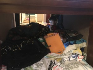 The boys under their fort before bed.