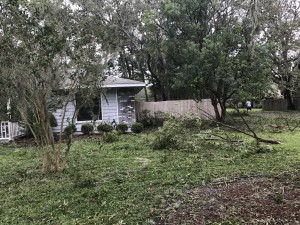 Front yard mess.